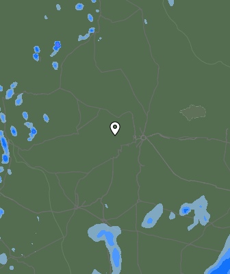 Валежи