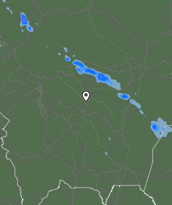 Валежи