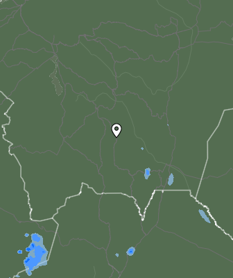 Валежи