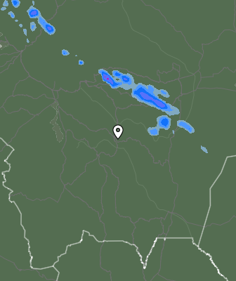 Валежи
