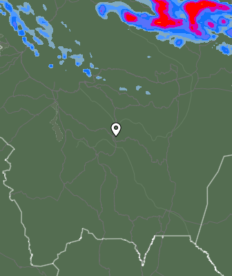 Валежи