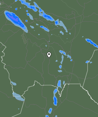 Валежи