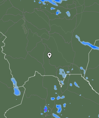 Валежи