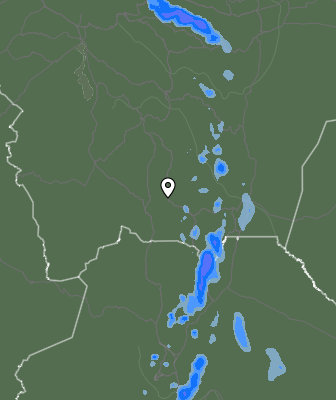 Валежи