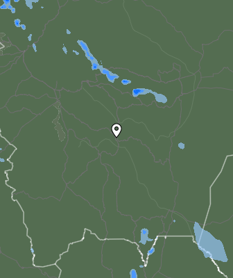 Валежи