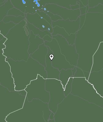 Валежи