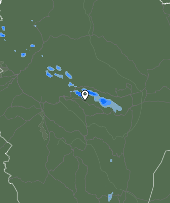 Валежи
