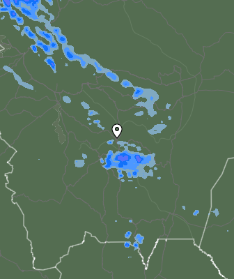 Валежи