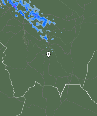 Валежи