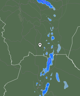 Валежи