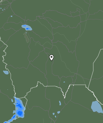 Валежи