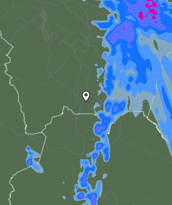 Precipitazioni