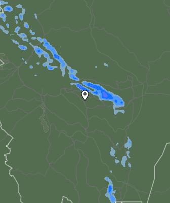 Валежи