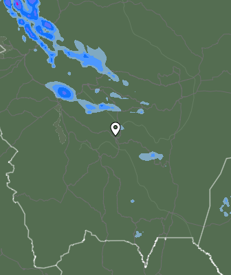 Валежи