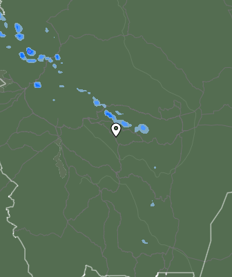 Валежи