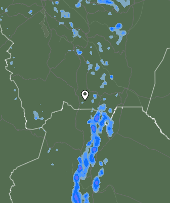 Валежи