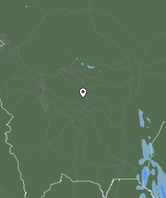 Валежи