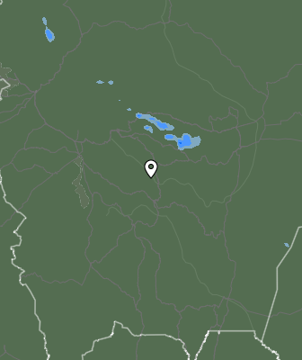 Валежи