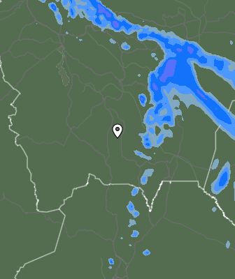 Валежи