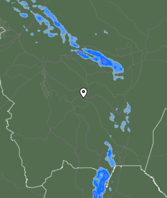 Валежи