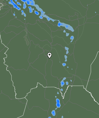 Валежи