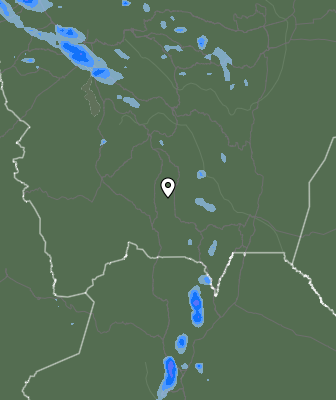 Валежи