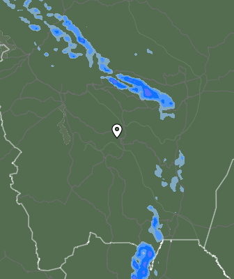 Валежи