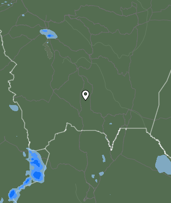Валежи