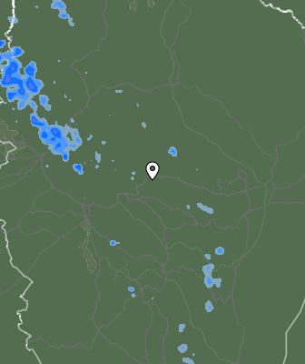 Валежи