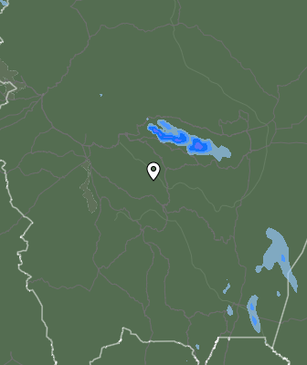 Валежи