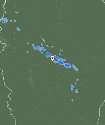 Валежи
