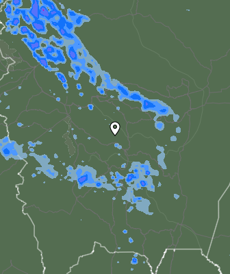 Валежи