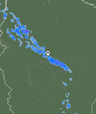 Валежи