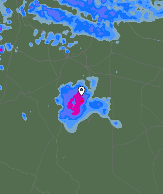 Валежи