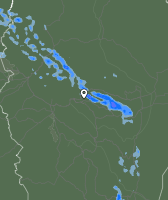 Валежи
