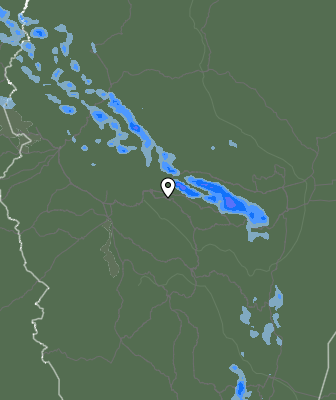 Валежи