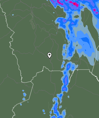 Precipitazioni