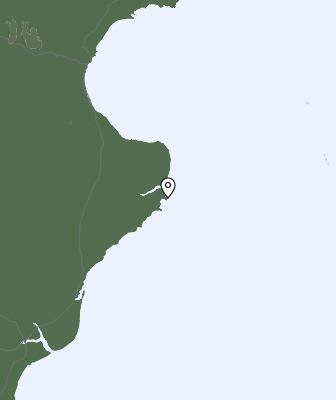 Nedbør