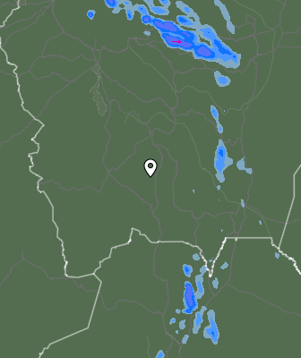 Валежи