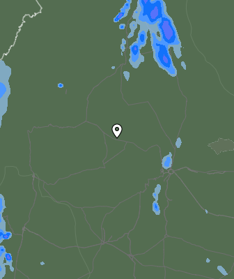 Валежи