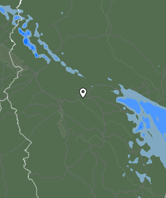 Niederschlagsprognose