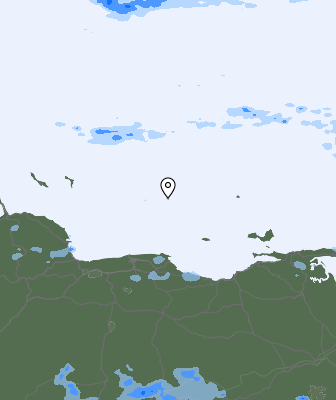 Валежи