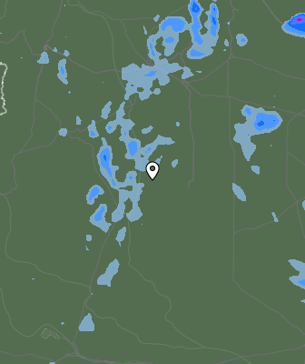 Валежи