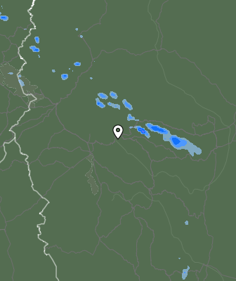 Валежи