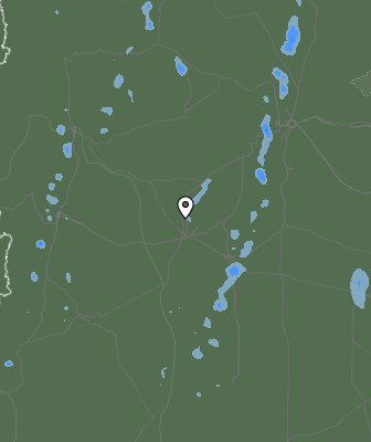 Валежи