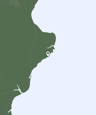 Nedbør