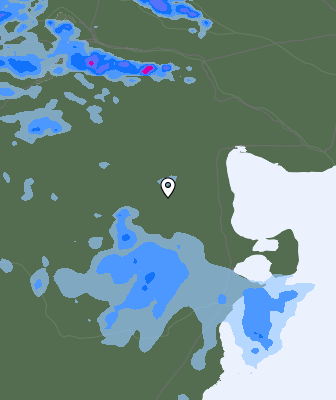 Валежи