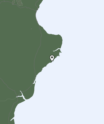 Nedbør