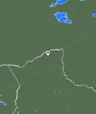 Валежи