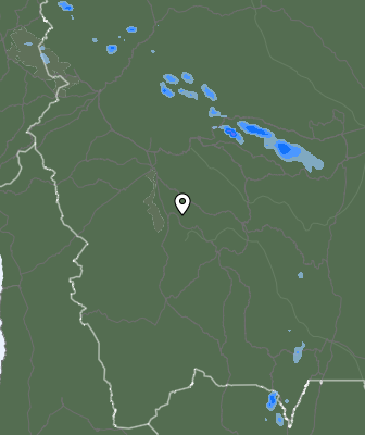Валежи